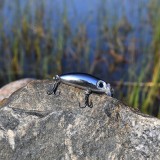 Crankbait Shiny