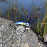 Crankbait LillaBlå
