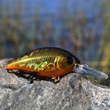 Crankbait Gold