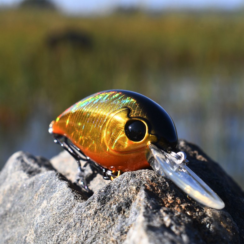Crankbait Gold