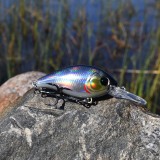 Crankbait Silver