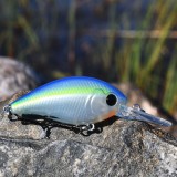 Crankbait Speedy