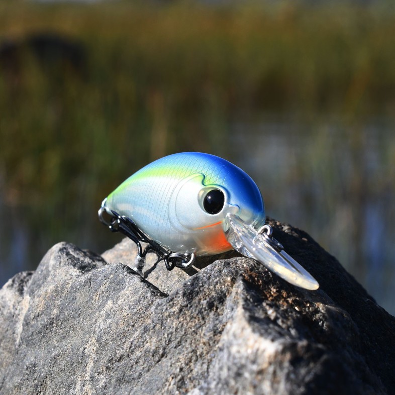 Crankbait Speedy