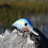 Crankbait Speedy