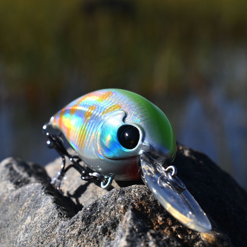 Crankbait Stinker