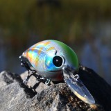 Crankbait Stinker