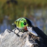Crankbait Borren