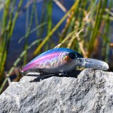 Crankbait Regnbåge