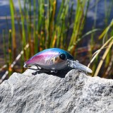 Crankbait Regnbåge
