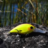 Crankbait Phoenix
