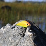 Metal Gold – Effektiv wobbler för söt- och saltvatten