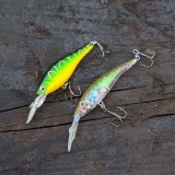 Set Wobbler Abborre & Regnbåge – 2 pack, 8 g, 8 cm & 9 cm, Omnifish