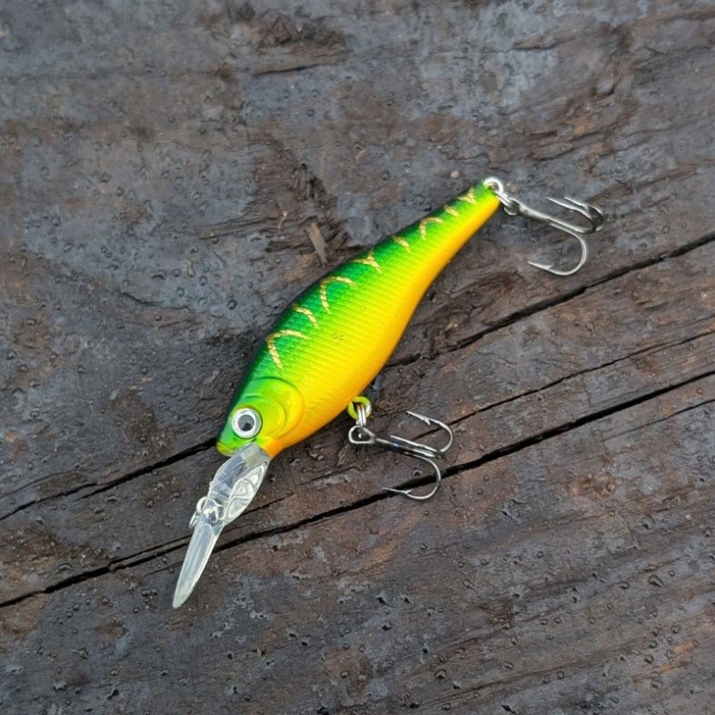 Set Wobbler Abborre & Regnbåge – 2 pack, 8 g, 8 cm & 9 cm, Omnifish