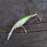 Set Wobbler Abborre & Regnbåge – 2 pack, 8 g, 8 cm & 9 cm, Omnifish