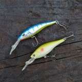 Set Wobbler Abborre & Regnbåge – 2 pack, 8 g, 8 cm & 9 cm, Omnifish