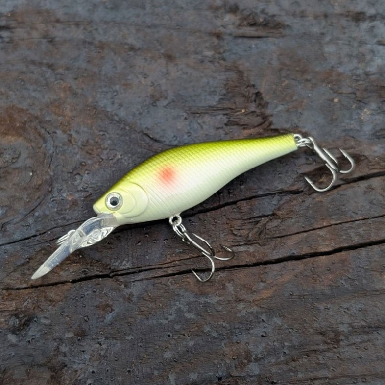 Set Wobbler Abborre & Regnbåge – 2 pack, 8 g, 8 cm & 9 cm, Omnifish