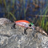 Crankbait Ganjaman