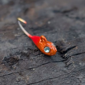 Landö Diamant Mormyska – Stark krok och lysande design
