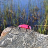 Crankbait Pink Lady