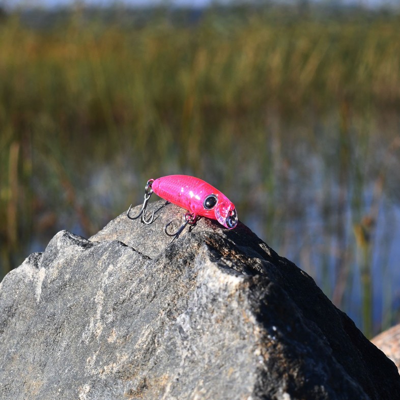 Crankbait Pink Lady