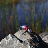 Crankbait Red Head