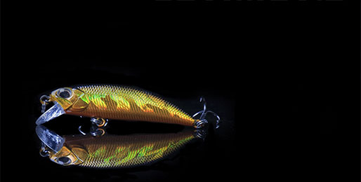 cms-banner3